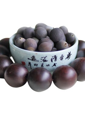 非栽培季节周劲松精选碗莲种子籽