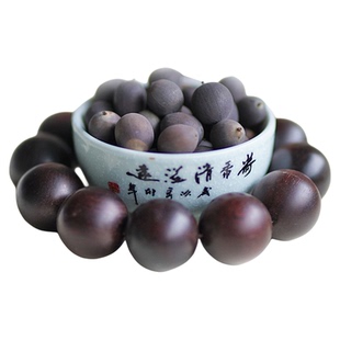 非栽培季节周劲松精品正品5粒开口家庭阳窗露台盆栽碗莲花种籽子