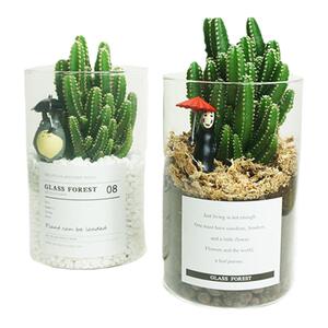 仙人掌类万重山玻璃盆栽摆件室内办公室桌面绿植ins北欧多肉植物