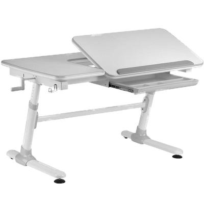 正品授权带logo标威尔well学习桌