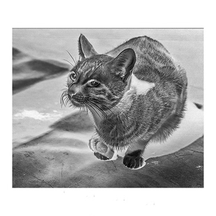 定制古典工艺负片蓝晒中间底片输出激光照排胶片铜版照相菲林正片