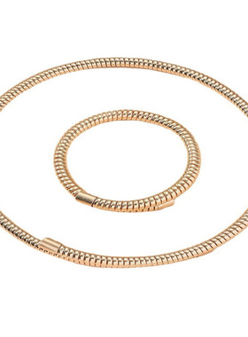 欧美夸张时尚金属大链条蛇骨龙骨个性夸张气质高级感女士首饰套装