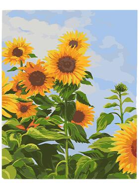 向日葵数字油画diy油彩画