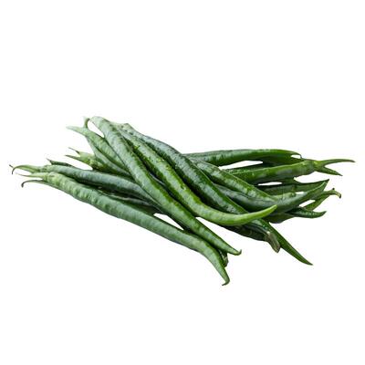 帝王336线椒种子早熟幼苗高产