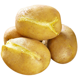 定西沙面大土豆新鲜当季整箱包邮马铃薯软糯士豆甘肃高原黄心洋芋