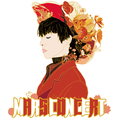 华晨宇火星演唱会应援徽章礼物