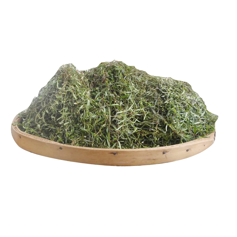 深山白花蛇舌草农家晒可配半枝莲