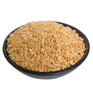 25年新东北生燕麦米胚芽米燕麦仁全胚芽杂粮莜麦雀麦裸燕麦5斤