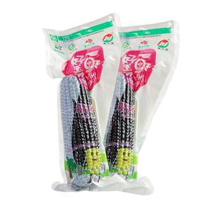 黄羊河黑糯玉米棒10根粘苞谷紫玉米加热速食黑玉米真空包装220g