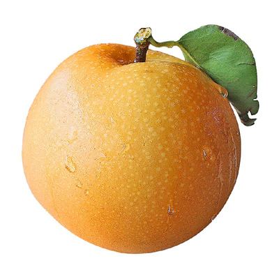 裕鲜生正宗山东烟台莱阳秋月梨