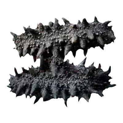 俄罗斯野生海参干货大红参高泡发