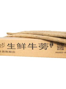 2025年现挖现发黄金牛蒡水份足