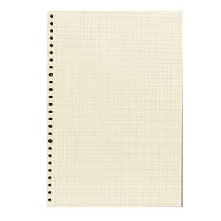 活页本替芯A5网格加厚错题20孔B5可拆卸26孔笔记本A4小方格固定夹纸内页扣环外壳格子空白替换线圈本芯可拆