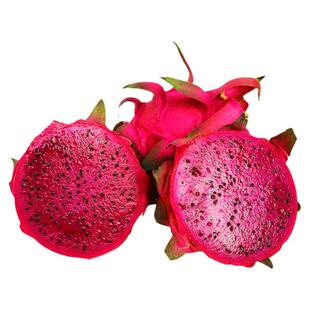 海南金都一号红心火龙果新鲜包邮特大果红肉当季整箱时令水果5斤