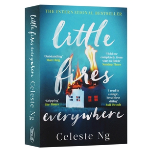 英文原版小说 遍地小火苗 小小小小的火 英版 Little Fires Everywhere