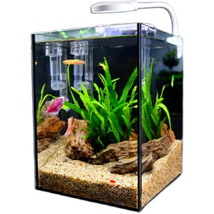 小鱼缸小型桌面鱼缸家用办公室免换水玻璃迷你微景观生态缸