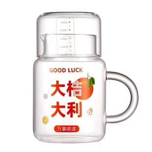 800ml大容量带盖杯子家用喝水杯女耐高温玻璃带把刻度杯男泡茶杯