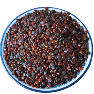 中药材枳具子野生500克枳椇子枳椇籽粉拐枣籽泡茶葛根花解酒醒酒