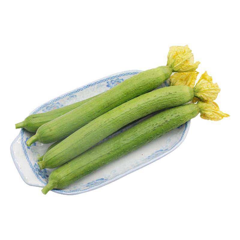 长香丝瓜种子早熟高产长顺直耐热爬藤特长丝瓜庭院阳台四季蔬籽孑