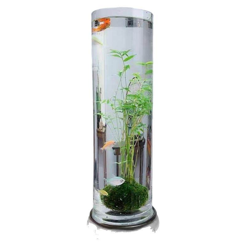 米竹水培植物苔藓球玻璃瓶鱼缸