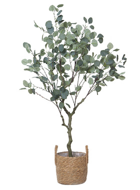 仿真绿植盆栽北欧ins尤加利树