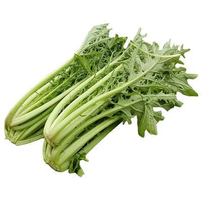 农家露天当季新鲜雪里红青菜