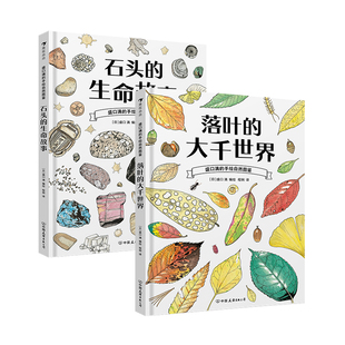 浪花朵朵正版现货 盛口满系列2册套装 石头的生命故事+落叶的大千世界 7-10岁 石头地质自然植物 日本童书研究会 科普百科绘本