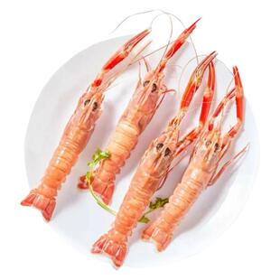 舟山海鳌虾新鲜野生深海鳌虾刺身甜虾海螯虾熬虾海鲜东海熬虾鲜活