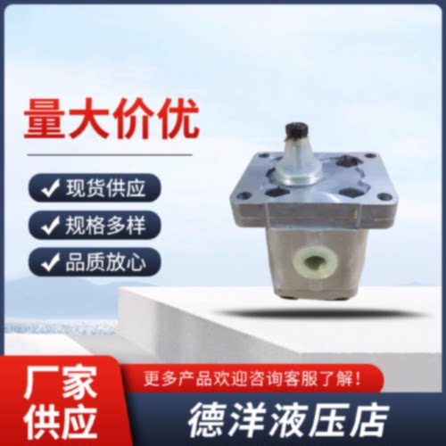 询马祖奇MARZOCCHI齿轮泵1PD6.7GAS1PD51PD3.3GAS1PD4.2液压油泵