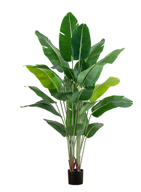 天堂鸟仿真绿植盆栽高端轻奢装饰