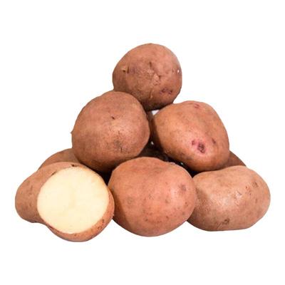 红皮土豆云南红皮马铃薯洋芋