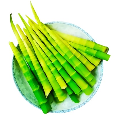 峨眉山新鲜翡翠竹笋绿笋青笋清水竹笋尖整箱火锅食材商用高山绿笋