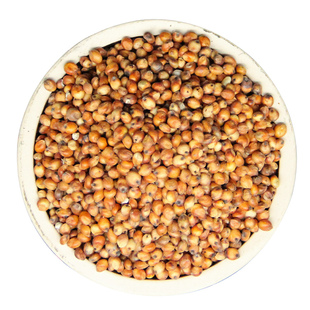 【5斤装】沂蒙红高粱喂鸽子带皮红高粱酿酒醋带壳红高粱2500g