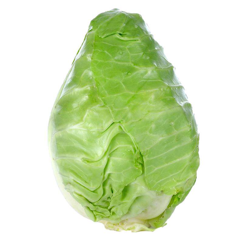 福月安新鲜现摘白菜新鲜现摘