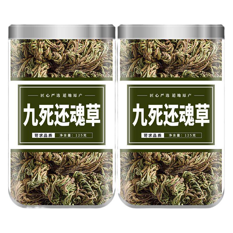 九死还魂草干卷柏中药材长生不死草回魂草见水还阳草复活草非野生