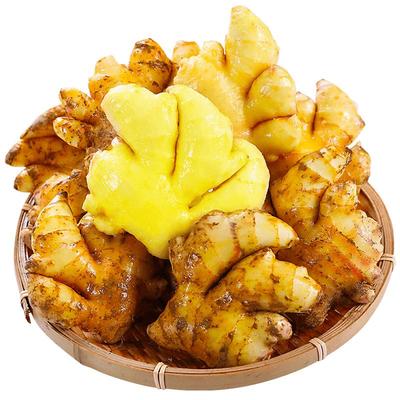 当季新货|云南小黄姜~产地现发