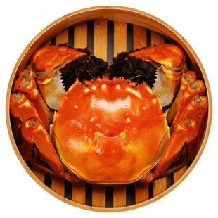 活蟹残蟹大号全母大闸蟹去绳净重洪泽湖螃蟹鲜活掉腿蟹九指八指蟹