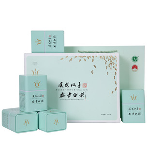溪龙仙子2025新茶安吉白茶雨前特级250g核心原产正品绿茶送礼盒装