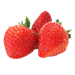 特大新鲜草莓现摘有机草莓建德草莓草莓牛奶草莓奶油草莓4斤顺丰