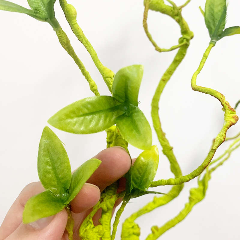 爬宠饲养箱造景藤条树蛙睫角守宫蜥蜴寄居蟹攀爬蛇仿真绿色藤蔓