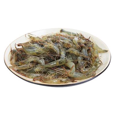 新鲜速冻淡水小河虾商用海鲜水产