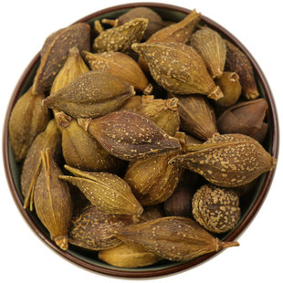 【经方集】连翘中药材连召打连翘粉初步熟果实青翘100/250g/500克