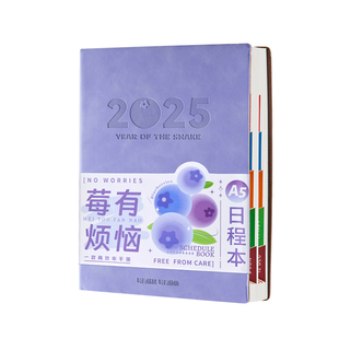 三年二班 2026日程本计划本笔记本日历本打卡计划本时间管理自律记事本子工作管理表每日效率高颜值手帐本