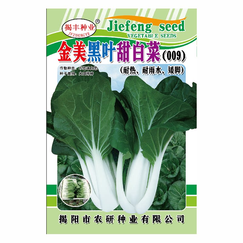 黑叶小白菜种子品质佳芽高好吃