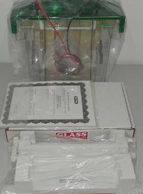 BIO RAD PROTEAN II xi Cell Electrophoresis Cell Catalog# 165