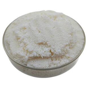 XAD-2非极性大孔吸附树脂有机物废气吸附树脂1kg科研实验用