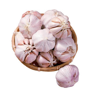 山东金乡大蒜头干蒜紫皮新鲜农家新蒜多瓣蒜产地价包邮