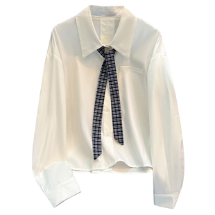 白色纯棉长袖衬衫外套加领带女2026春秋季新款轻奢高级感短款上衣