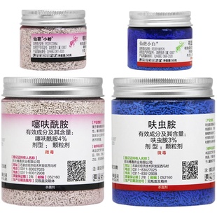 仙葩小白药小粉药呋虫胺飞虱杀虫剂噻呋酰胺杀菌剂植物撒施颗粒剂