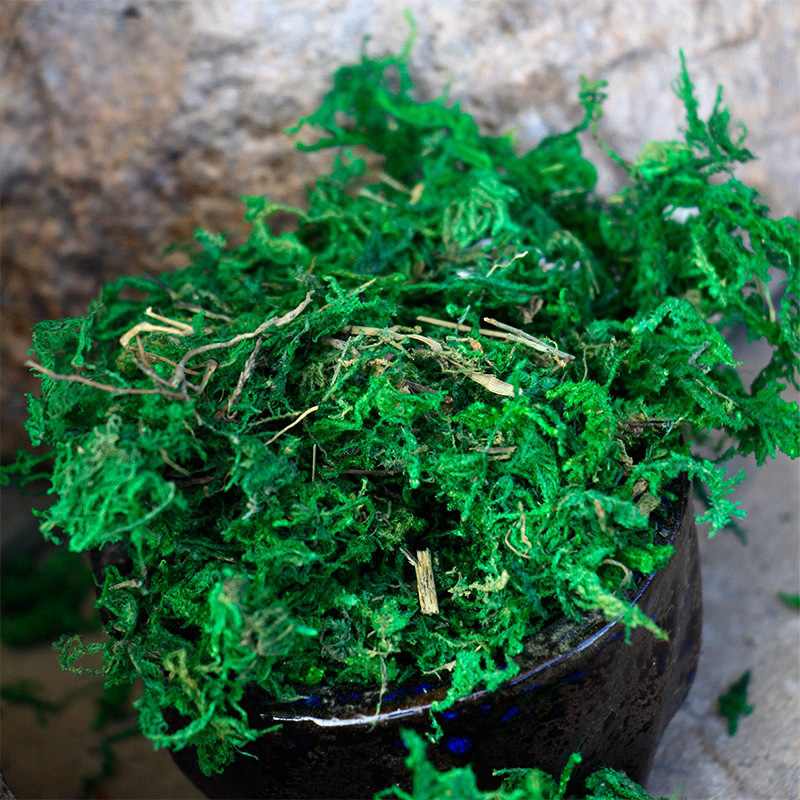 现货永生青苔苔藓仿真石头鱼缸造景石人造微景观植毛球工艺品批发